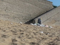 Spiaggia Sporca